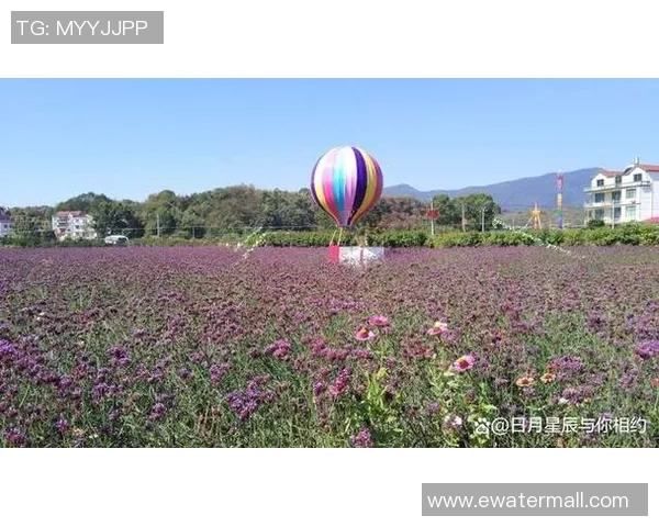 北爱尔兰与瑞士旅游攻略探秘自然风光与人文魅力